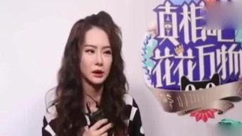 娱乐吃瓜酱小美,揭秘娱乐圈那些不为人知的幕后故事